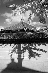 Shadows at Shitennoji Temple