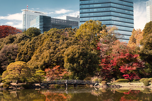 Shinjuku Gyoen National Garden