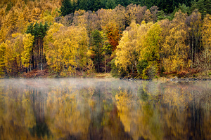Autumn on River Tummel