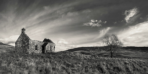 Old Cottage and Tree