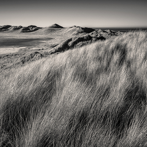 Rattray Head Dunes