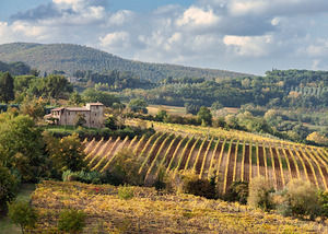 Tuscan Valley