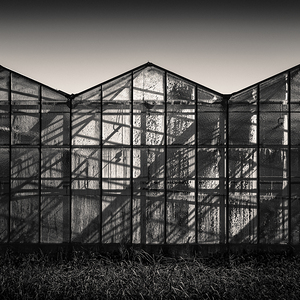 Greenhouse Shadows