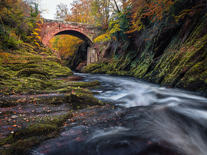 Autumn at Gannochy Bridge