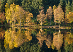 Autumn on Glencoe Lochan