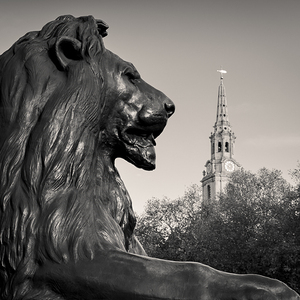Trafalgar Square Lion