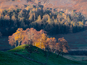 Autumn in Glenshee