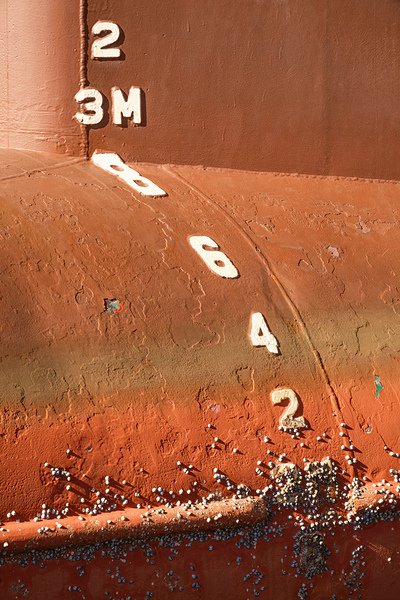 Hull Numbers Print