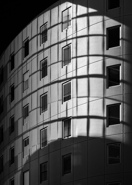 Spatial Rhythm Print