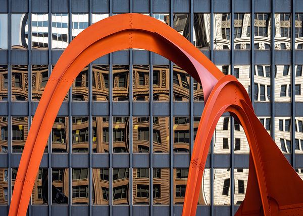 Flamingo Reflections Print