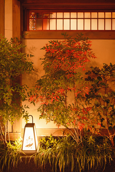 Garden Lantern Print