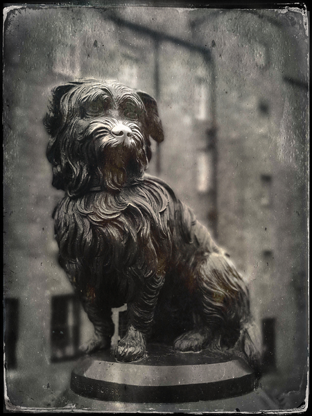 Greyfriars Bobby Print
