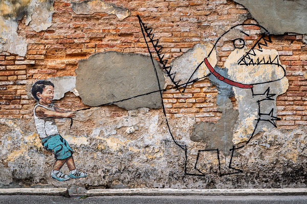 Boy With Dinosaur Print