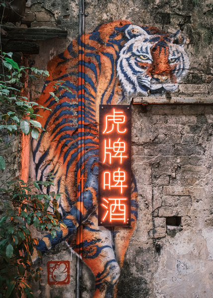 Wall Tiger Print