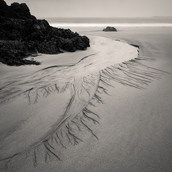 Mealasta Beach Print