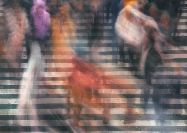 Shibuya Crossing Print