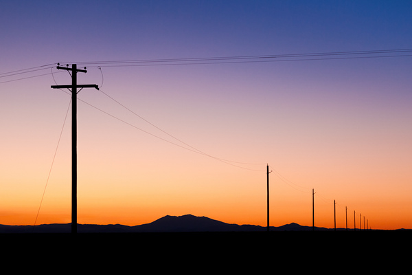 Desert Communication Print