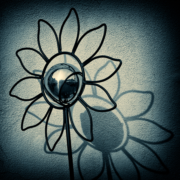 Metal Flower Print