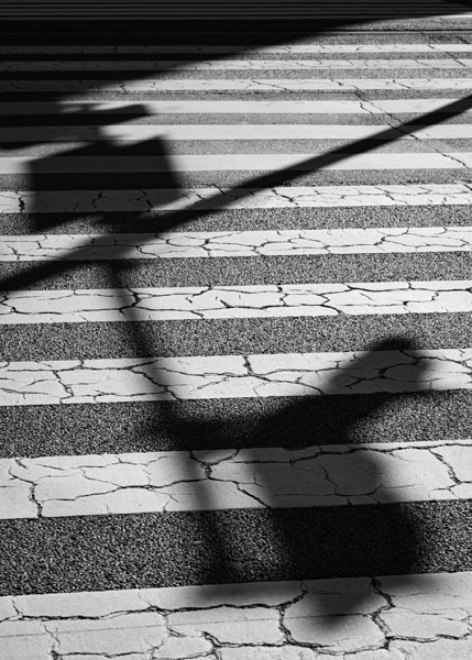 Tokyo Crossing Print