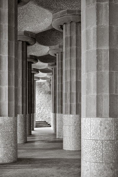 Between Pillars Print