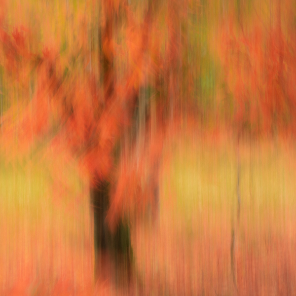 Autumn Mirage Print