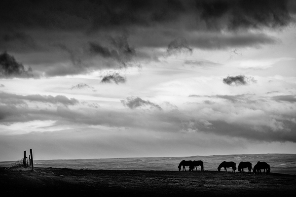 Days End at Hvammstangi Print