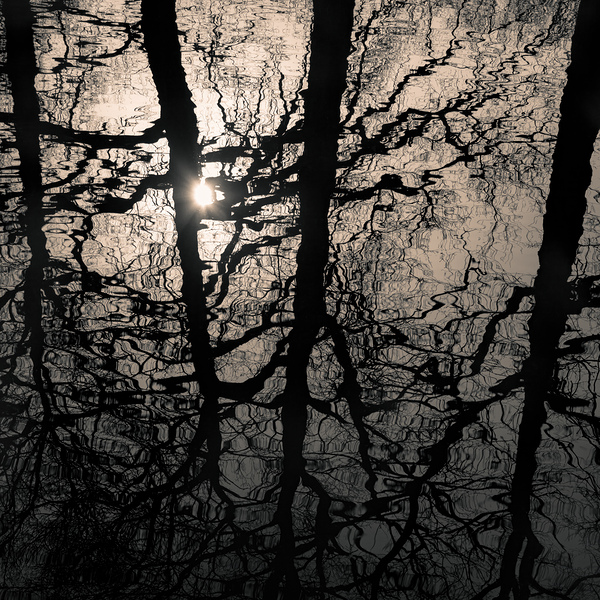 Woodland Waters Print