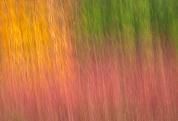 Autumn Pastels Print