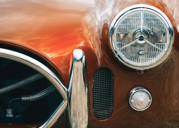 AC Cobra Front Print