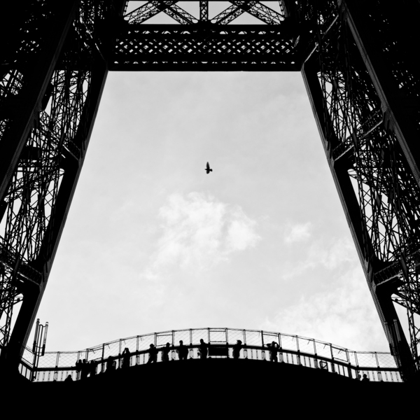 Birds-Eye View Print