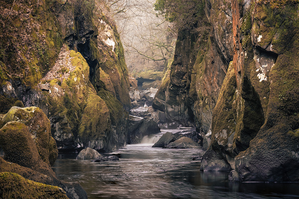 Fairy Glen Print