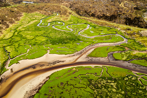 Harris Marshland Print