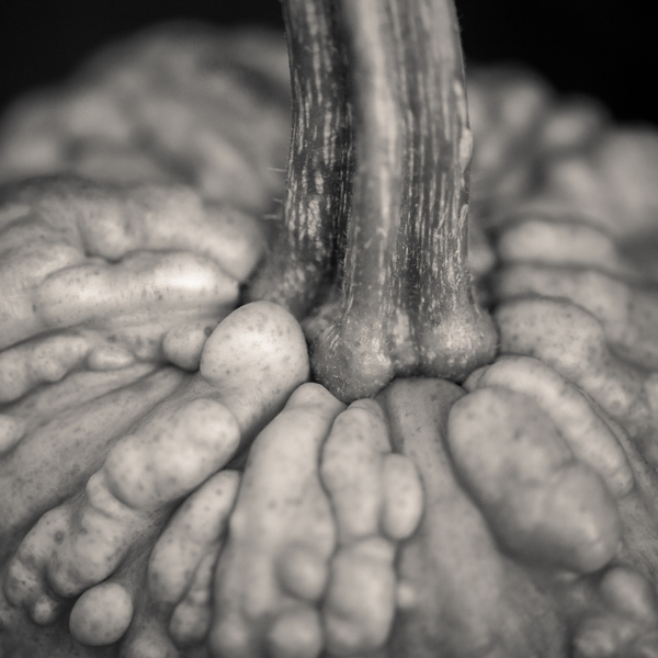 Knucklehead Pumpkin Print