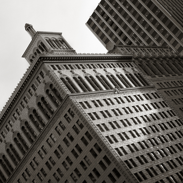 Matson Building Print