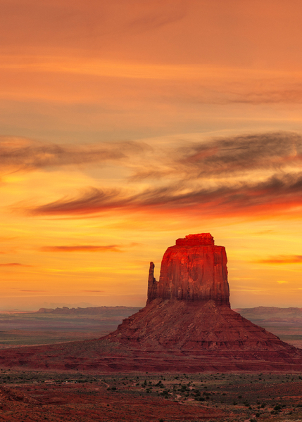 Red Tip Sunset Print