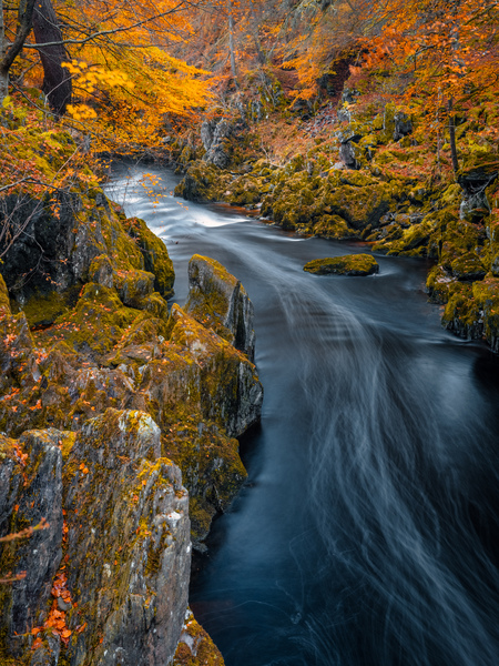 River Esk at Autumn Print