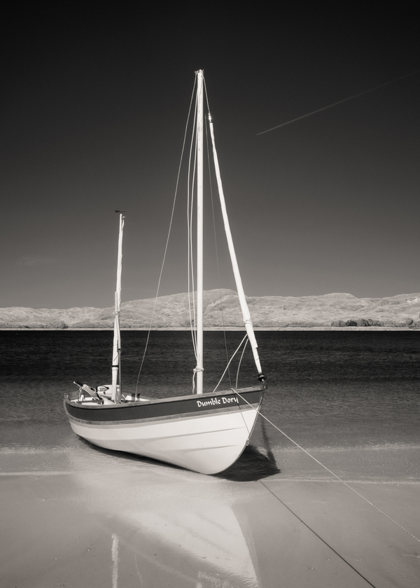 Dumble Dory Print