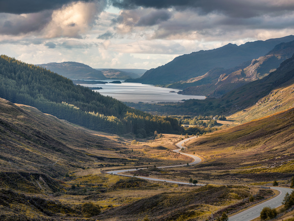 Glen Docherty Print