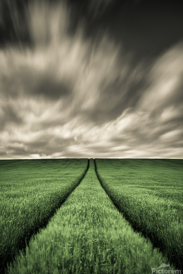 Field Tracks  Imprimer