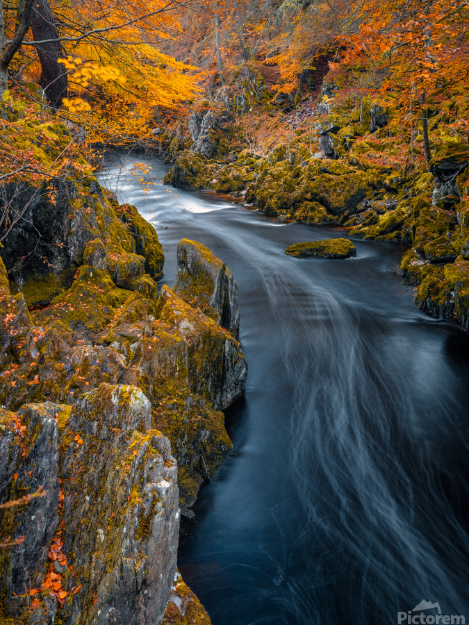 River Esk at Autumn  Print