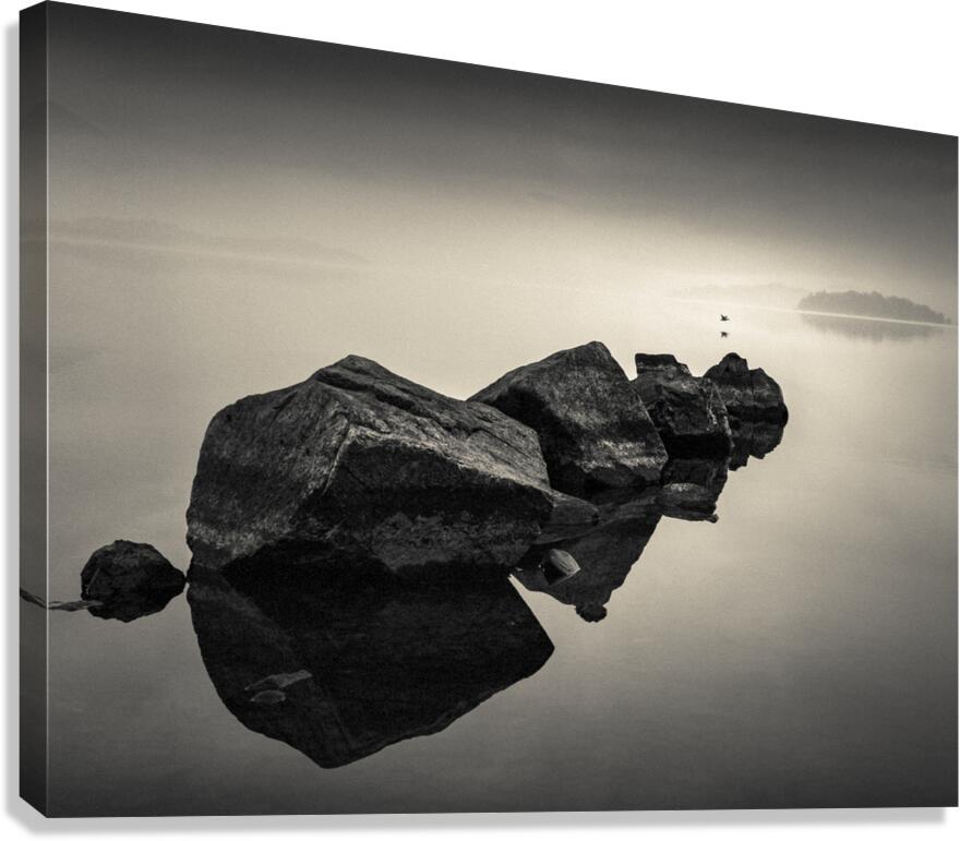 Dawn Flight Canvas Print