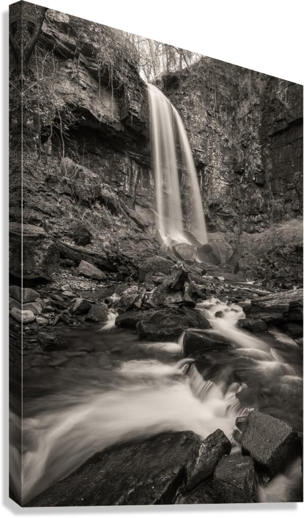 Melincourt Falls Canvas Print