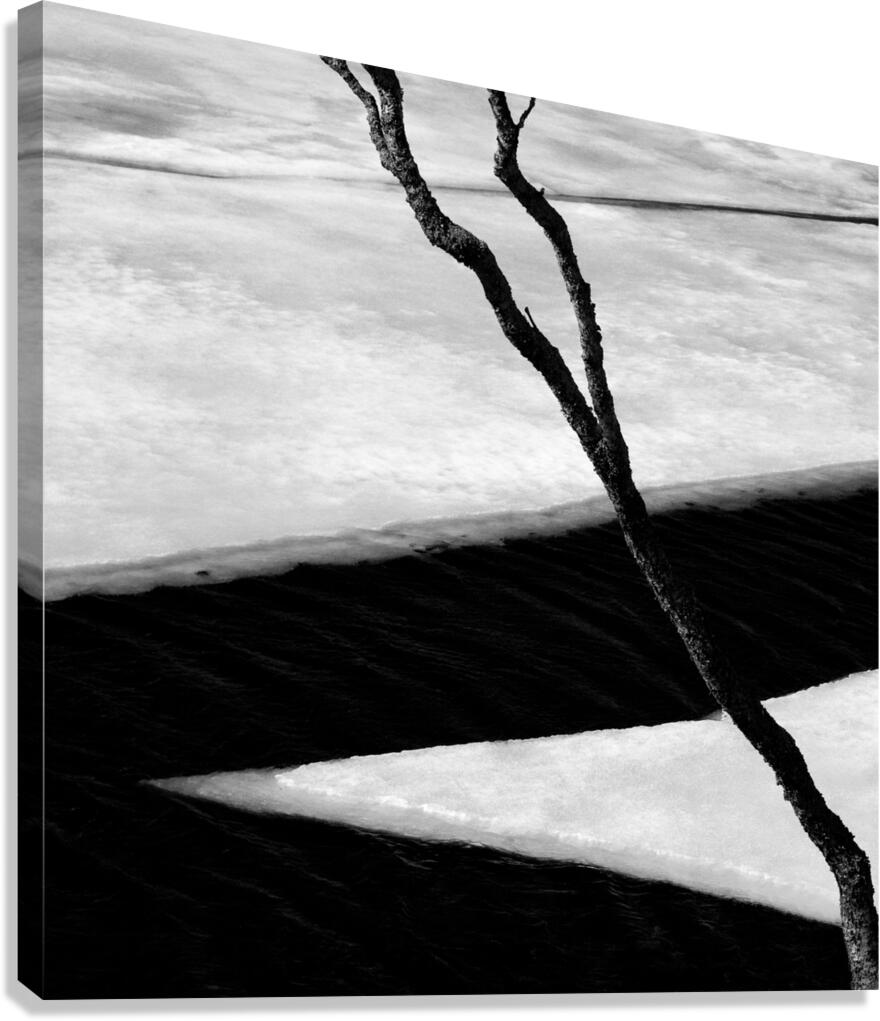 Tree and Ice Canvas Print