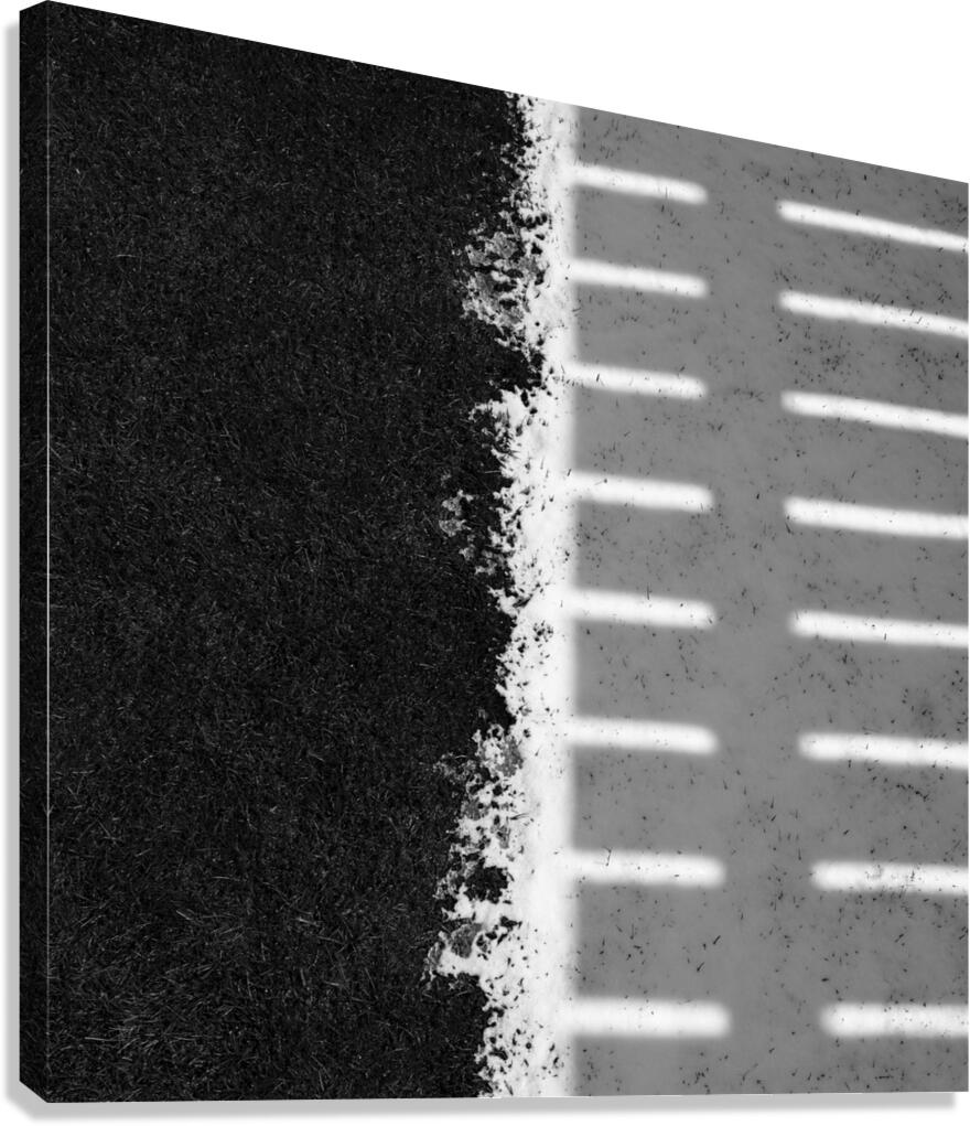 Fence Line Canvas Print