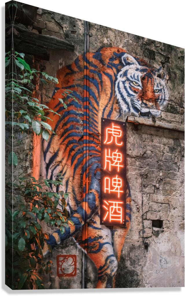 Wall Tiger Canvas Print