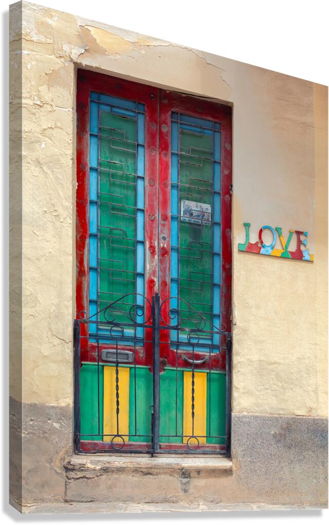 Maltese Love Canvas Print