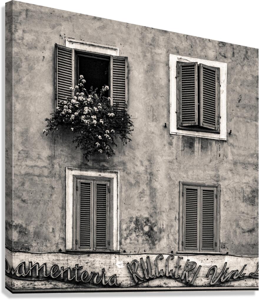 Four Windows Canvas Print