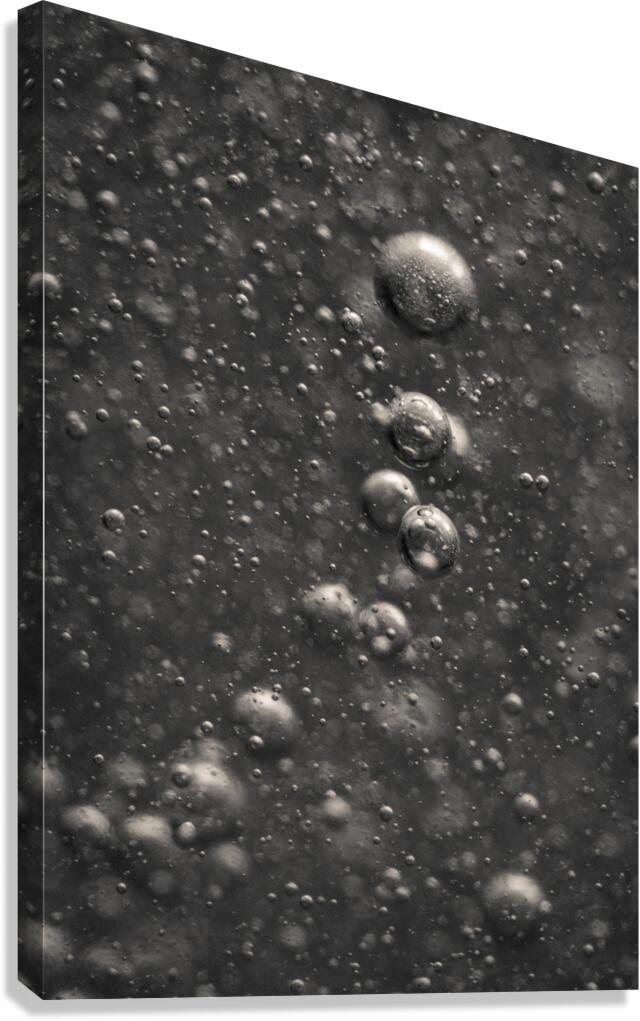 Microcosm Canvas Print