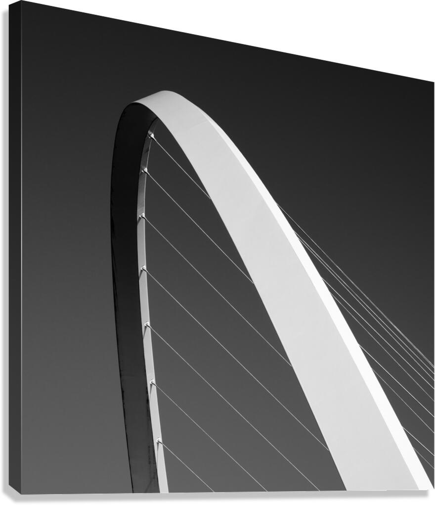 Tension and Grace Canvas Print