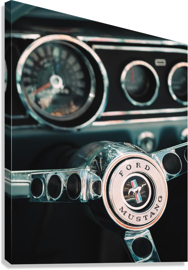 Old Mustang Canvas Print